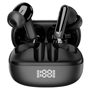 ANC + ENC Earbuds