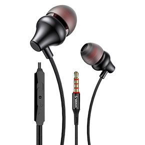 Earphones S21