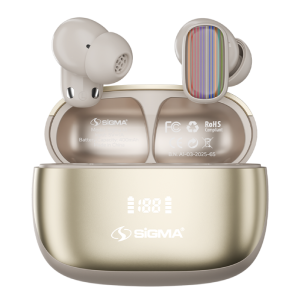 ANC + ENC Earbuds